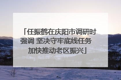 任振鹤在庆阳市调研时强调 坚决守牢底线任务 加快推动老区振兴