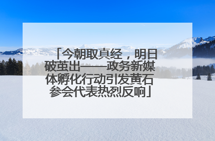 今朝取真经，明日破茧出——政务新媒体孵化行动引发黄石参会代表热烈反响