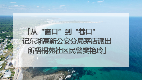 从“窗口”到“巷口”——记东湖高新公安分局茅店派出所梧桐苑社区民警樊艳玲