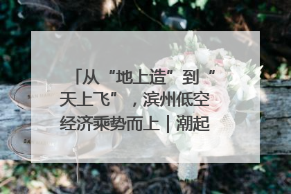 从“地上造”到“天上飞”，滨州低空经济乘势而上｜潮起渤海・网聚黄蓝