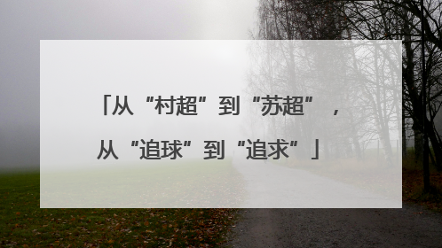 从“村超”到“苏超”，从“追球”到“追求”