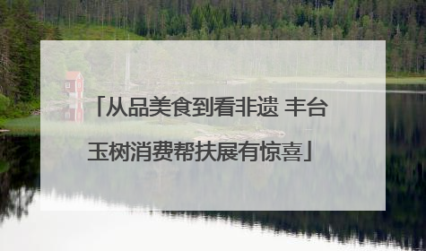 从品美食到看非遗 丰台玉树消费帮扶展有惊喜