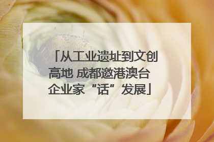 从工业遗址到文创高地 成都邀港澳台企业家“话”发展