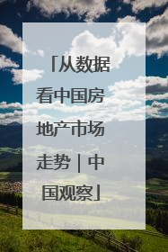 从数据看中国房地产市场走势｜中国观察