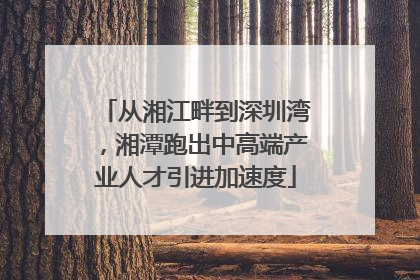 从湘江畔到深圳湾，湘潭跑出中高端产业人才引进加速度