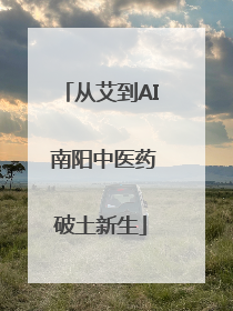 从艾到AI 南阳中医药破土新生