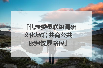 代表委员联组调研文化场馆 共商公共服务提质路径