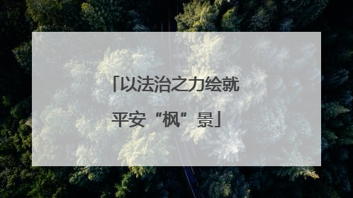 以法治之力绘就平安“枫”景