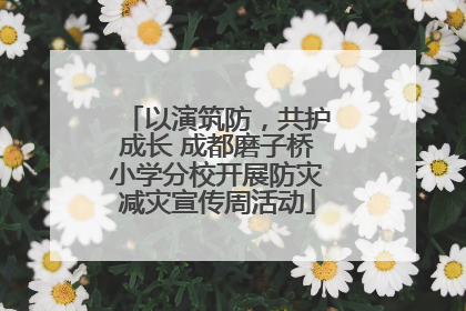 以演筑防，共护成长 成都磨子桥小学分校开展防灾减灾宣传周活动