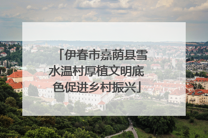 伊春市嘉荫县雪水温村厚植文明底色促进乡村振兴