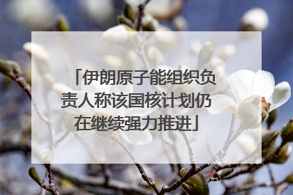 伊朗原子能组织负责人称该国核计划仍在继续强力推进
