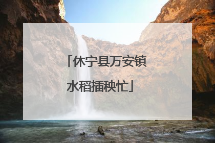 休宁县万安镇水稻插秧忙