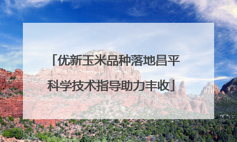 优新玉米品种落地昌平 科学技术指导助力丰收