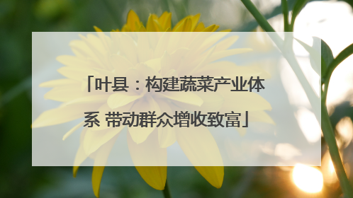 叶县：构建蔬菜产业体系 带动群众增收致富