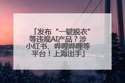 发布“一键脱衣”等违规AI产品？涉小红书、哔哩哔哩等平台！上海出手