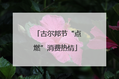 古尔邦节“点燃”消费热情