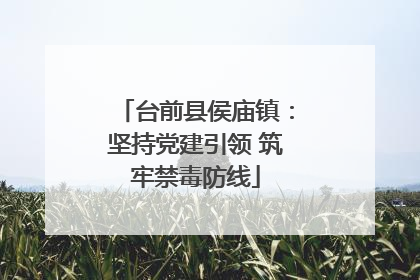 台前县侯庙镇：坚持党建引领 筑牢禁毒防线