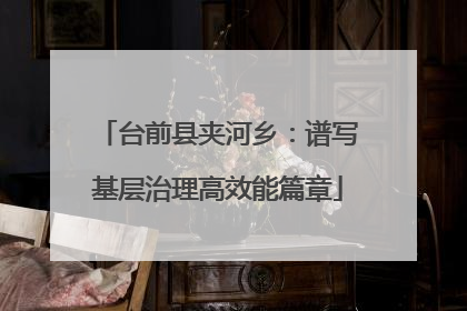 台前县夹河乡：谱写基层治理高效能篇章
