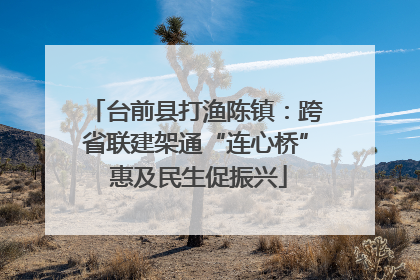台前县打渔陈镇：跨省联建架通“连心桥” 惠及民生促振兴