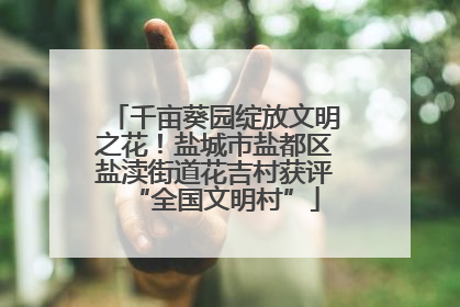 千亩葵园绽放文明之花！盐城市盐都区盐渎街道花吉村获评“全国文明村”