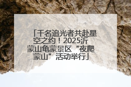 千名追光者共赴星空之约！2025沂蒙山龟蒙景区“夜爬蒙山”活动举行