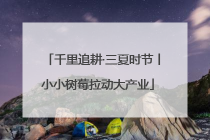 千里追耕·三夏时节丨小小树莓拉动大产业