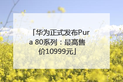 华为正式发布Pura 80系列：最高售价10999元