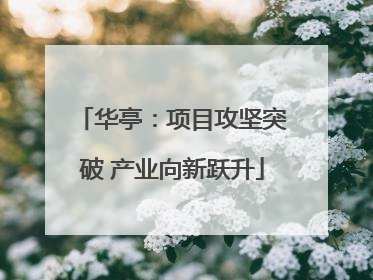 华亭：项目攻坚突破 产业向新跃升