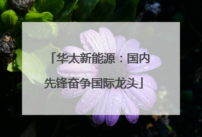 华太新能源：国内先锋奋争国际龙头