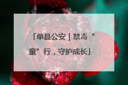 单县公安｜禁毒“童”行，守护成长