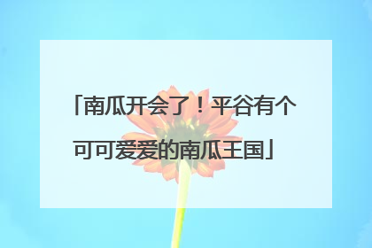 南瓜开会了！平谷有个可可爱爱的南瓜王国