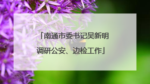 南通市委书记吴新明调研公安、边检工作