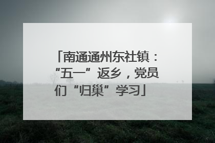 南通通州东社镇：“五一”返乡，党员们“归巢”学习