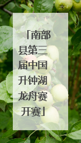 南部县第三届中国升钟湖龙舟赛开赛