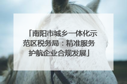 南阳市城乡一体化示范区税务局：精准服务护航企业合规发展