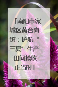 南阳市宛城区黄台岗镇：护航“三夏”生产 田间抢收正当时