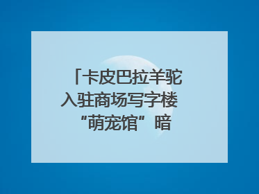 卡皮巴拉羊驼入驻商场写字楼 “萌宠馆”暗藏哪些隐患？