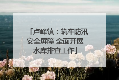 卢峰镇：筑牢防汛安全屏障 全面开展水库排查工作
