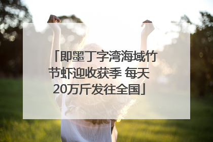 即墨丁字湾海域竹节虾迎收获季 每天20万斤发往全国