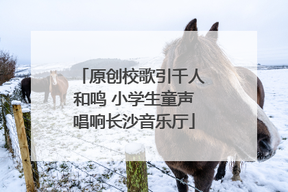 原创校歌引千人和鸣 小学生童声唱响长沙音乐厅