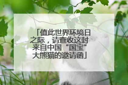 值此世界环境日之际，请查收这封来自中国“国宝”大熊猫的邀请函