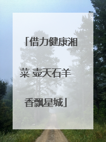 借力健康湘菜 壶天石羊香飘星城