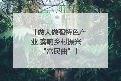 做大做强特色产业 奏响乡村振兴“富民曲”
