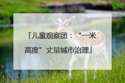 儿童观察团：“一米高度”丈量城市治理