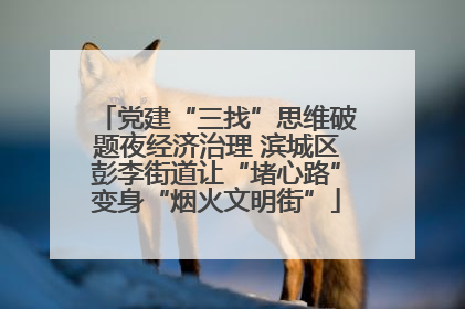 党建“三找”思维破题夜经济治理 滨城区彭李街道让“堵心路”变身“烟火文明街”