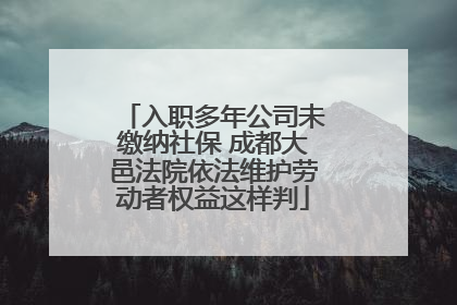 入职多年公司未缴纳社保 成都大邑法院依法维护劳动者权益这样判