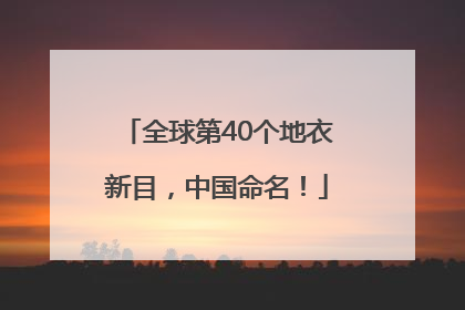 全球第40个地衣新目，中国命名！
