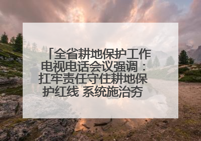全省耕地保护工作电视电话会议强调：扛牢责任守住耕地保护红线 系统施治夯实粮食安全根基 王宁作出批示 王予波出席并讲话