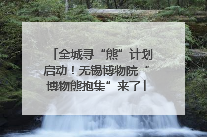 全城寻“熊”计划启动！无锡博物院“博物熊抱集”来了