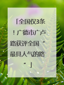 全国仅3条！广德市广卢路获评全国“最具人气的路”